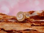 Ring "Luna"